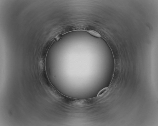 X0000112930086200909071042