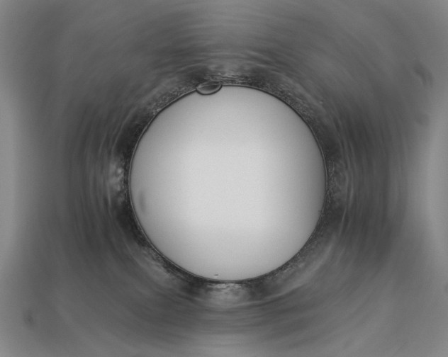 X0000112930087200909071042