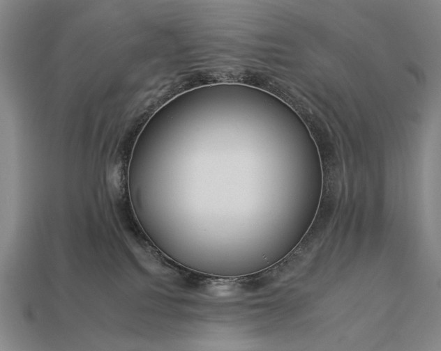 X0000112930088200909071042