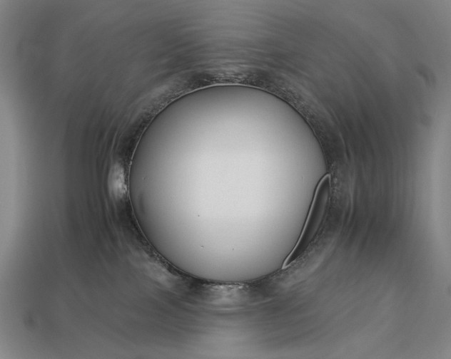 X0000112930089200909071042