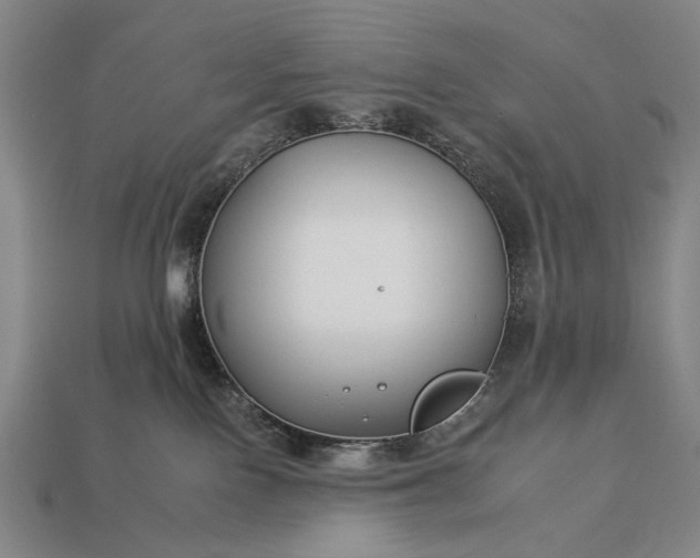 X0000112930090200909071042