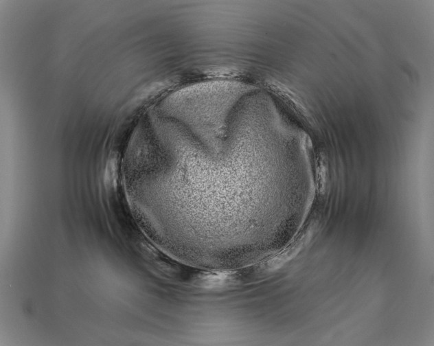 X0000112930093200909071042