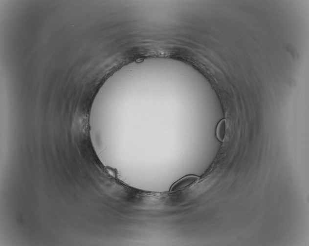 X0000112930096200909071042