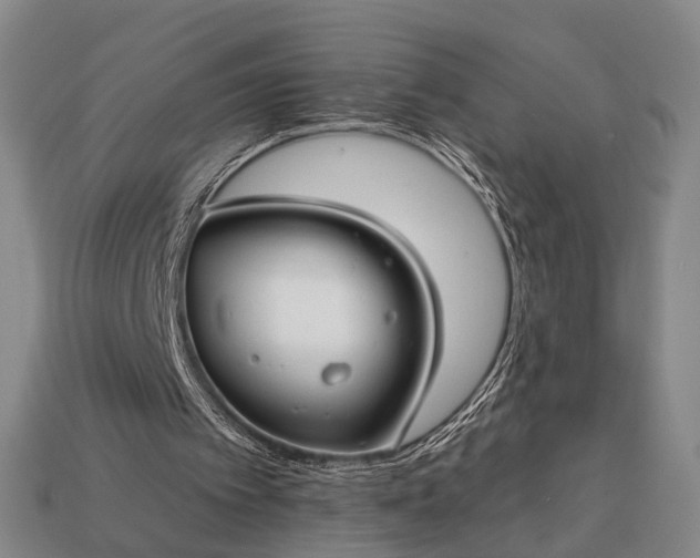 X0000112930097200909071042