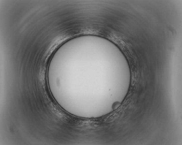 X0000112930098200909071042