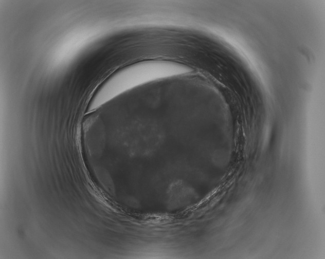 X0000112930099200909071042