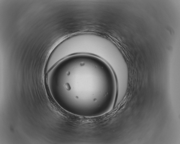 X0000112930100200909071042