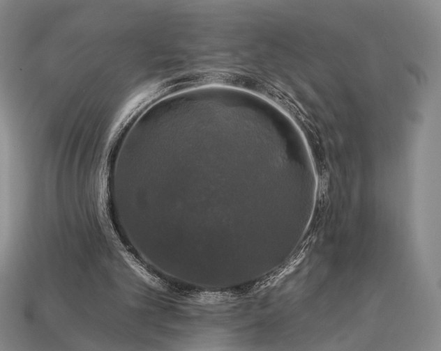 X0000112930101200909071042