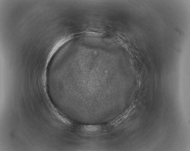 X0000112930102200909071042