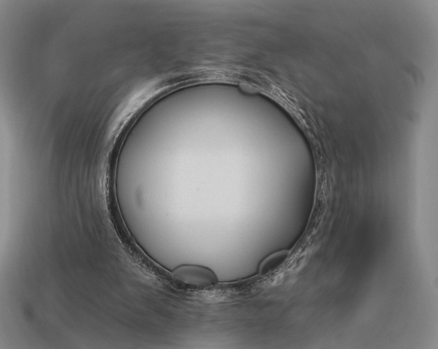 X0000112930103200909071042