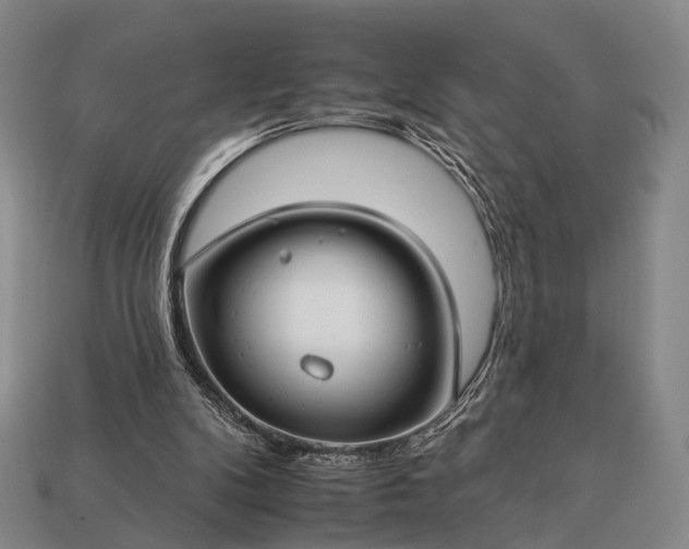 X0000112930104200909071042