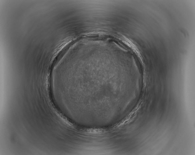 X0000112930105200909071042