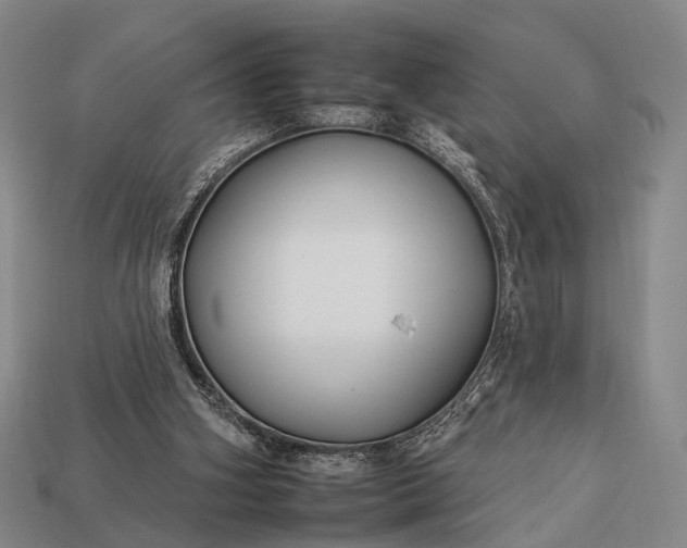 X0000112930106200909071042