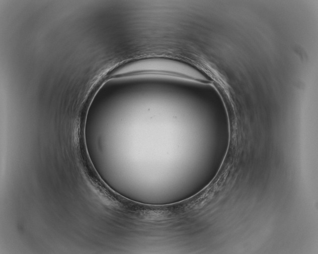 X0000112930107200909071042