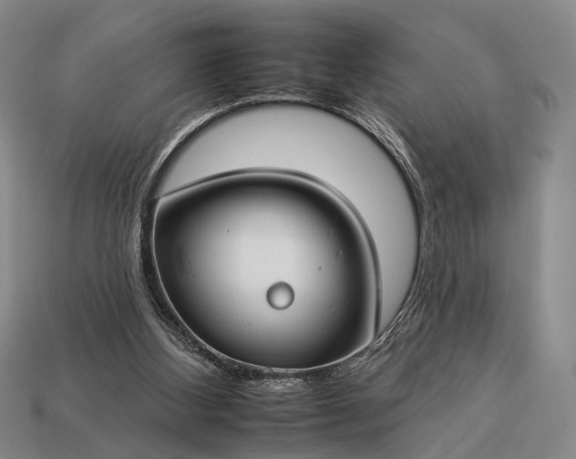 X0000112930108200909071042