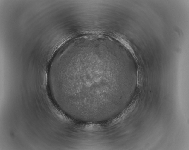 X0000112930109200909071041