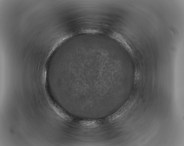 X0000112930110200909071041