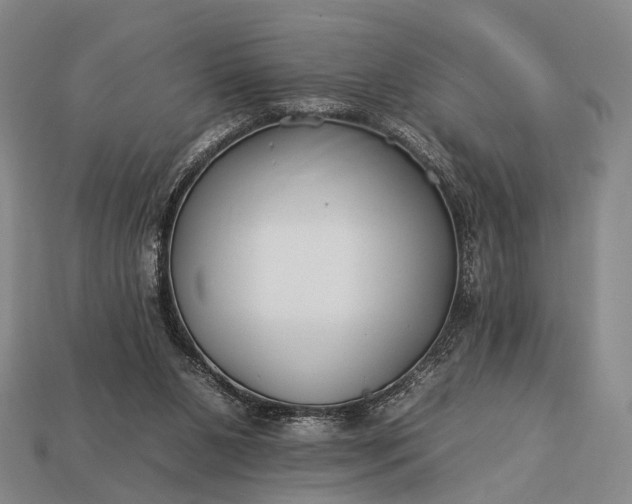 X0000112930111200909071041