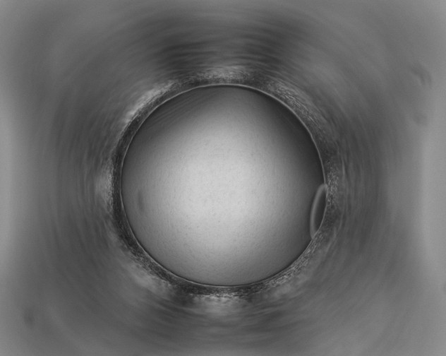 X0000112930112200909071041