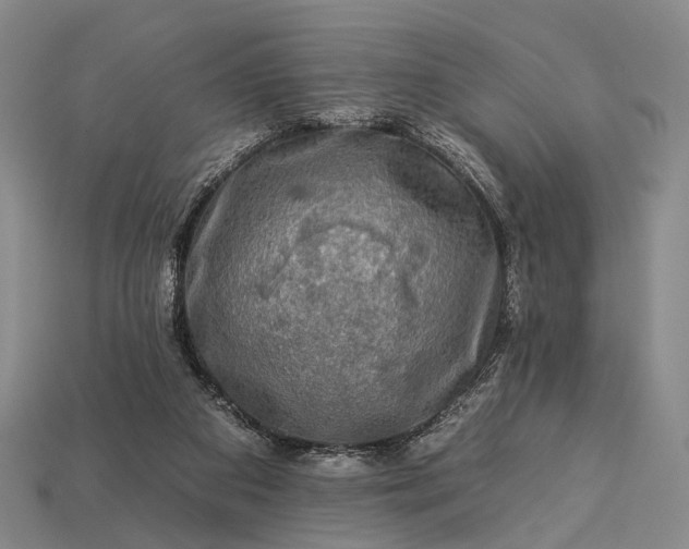 X0000112930113200909071041