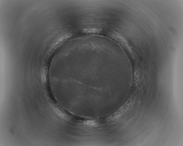 X0000112930114200909071041