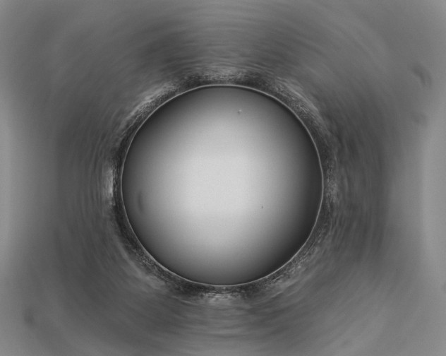 X0000112930115200909071041