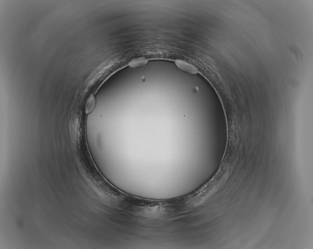 X0000112930116200909071041