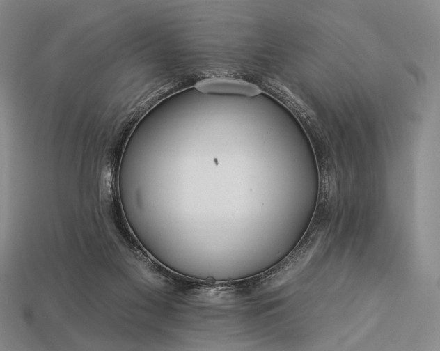 X0000112930117200909071041