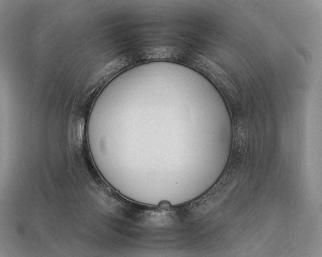 X0000112930118200909071041