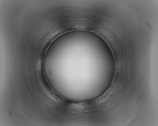 X0000112930120200909071041