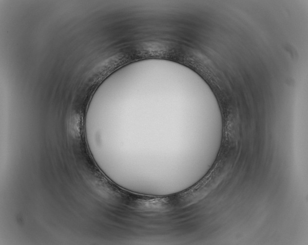 X0000112930122200909071041