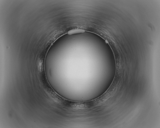 X0000112930123200909071041