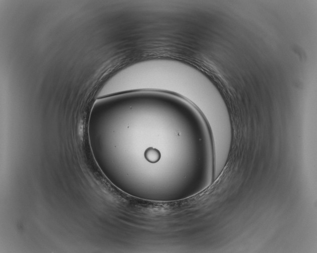 X0000112930124200909071041