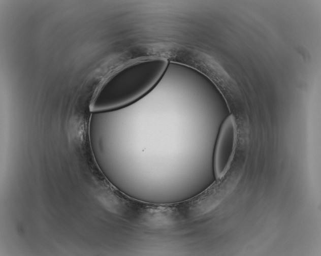 X0000112930125200909071041