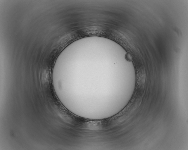 X0000112930126200909071041