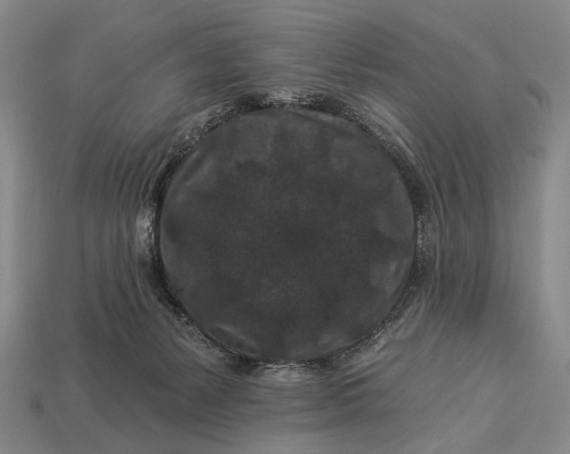 X0000112930127200909071041