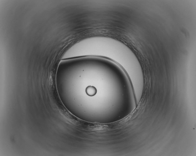 X0000112930128200909071041