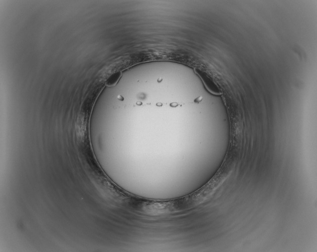 X0000112930129200909071041