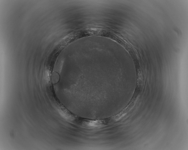 X0000112930130200909071041