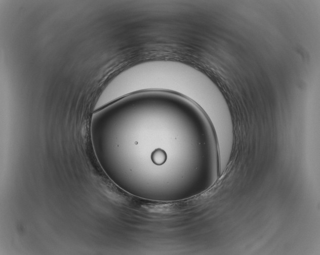 X0000112930132200909071041