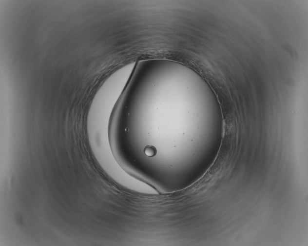 X0000112930133200909071041