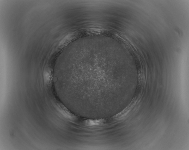 X0000112930134200909071041