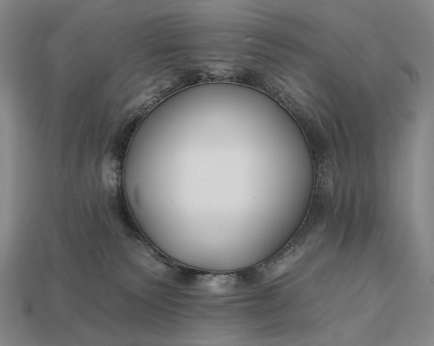 X0000112930135200909071041