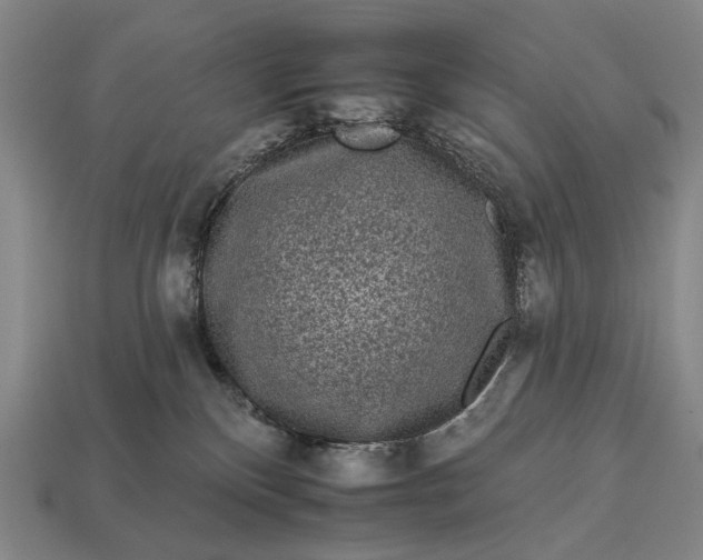 X0000112930136200909071041