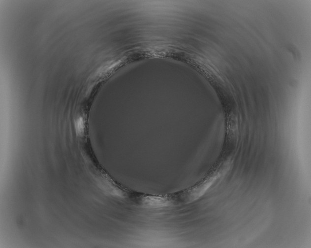 X0000112930139200909071041