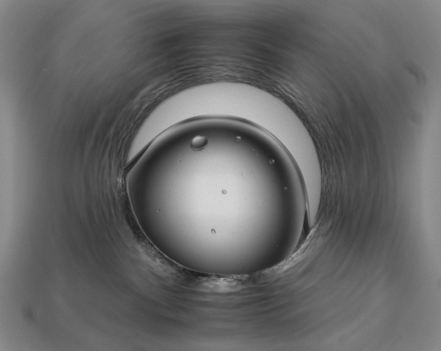 X0000112930140200909071041