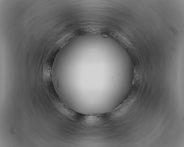 X0000112930141200909071041