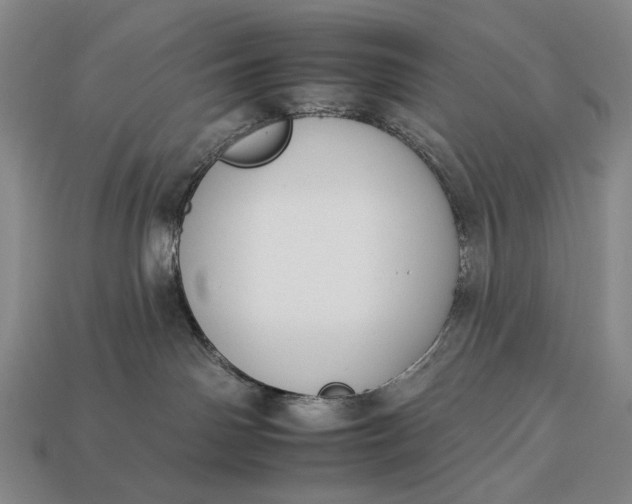 X0000112930142200909071041