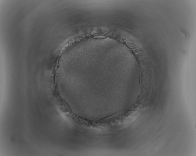 X0000112930144200909071041