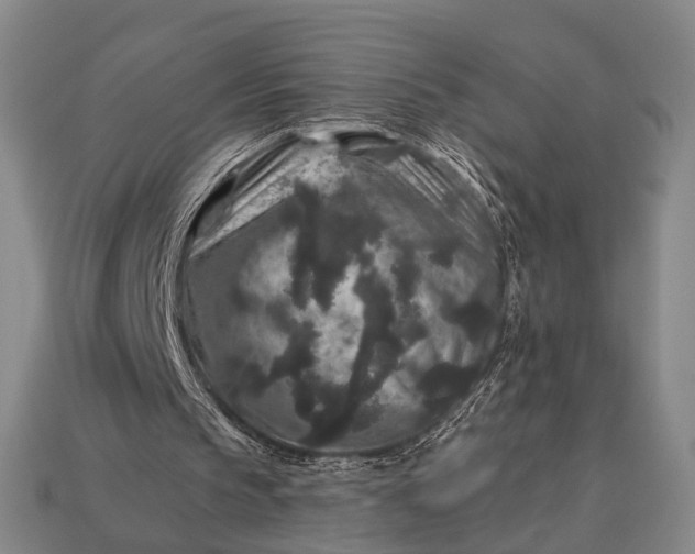 X0000112930145200909071040